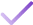 check-icon